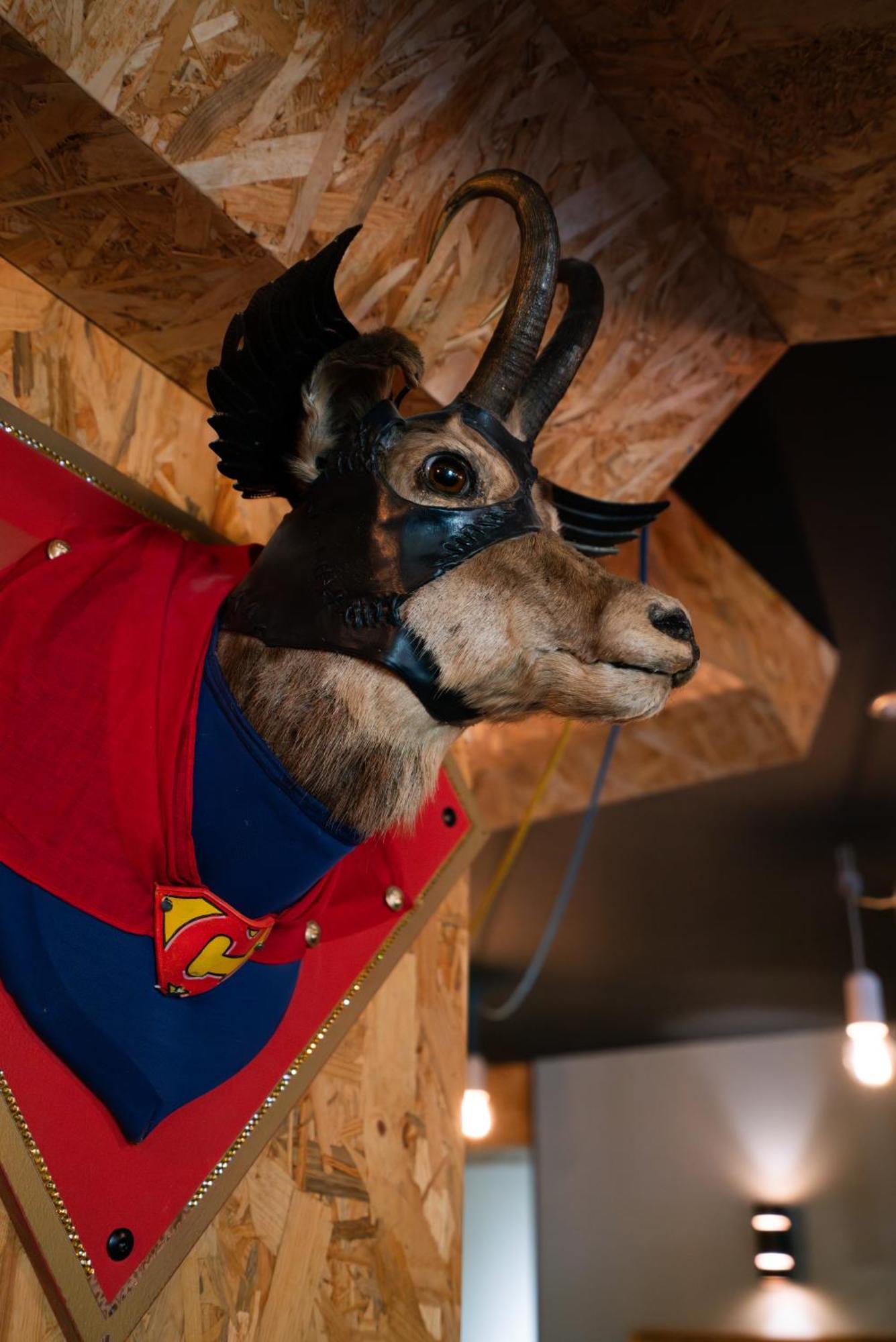 Chamois Lodge Les Deux Alpes Zewnętrze zdjęcie